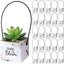 60 Pzas Bolsas Suculentas Baby Shower con Asas