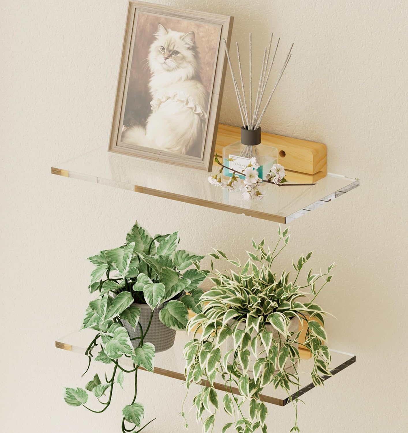 Estantes flotantes acrílicos base madera para plantas
