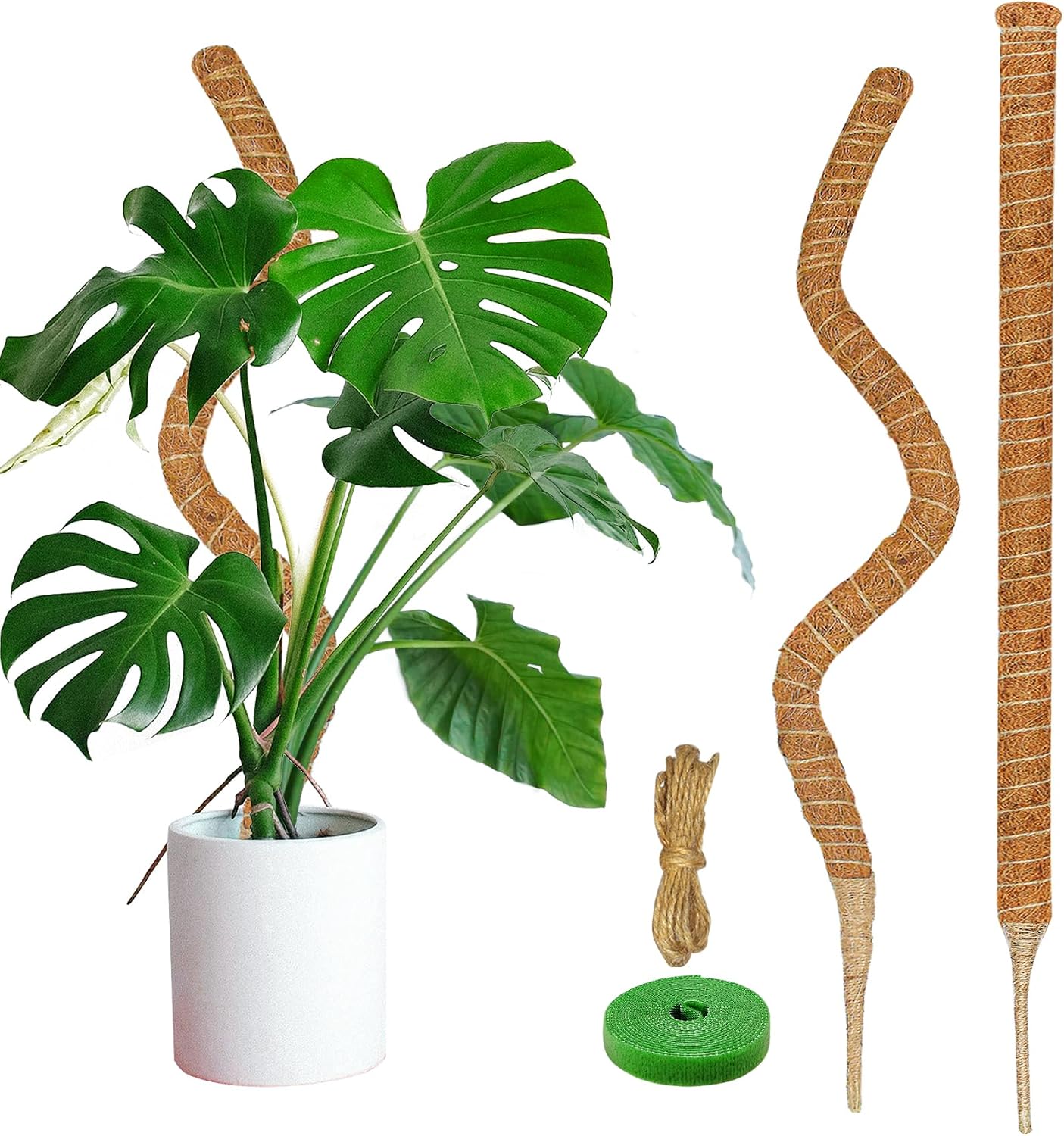 2 Postes Musgo 47" Soporte Plantas Trepadoras