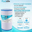 2 Cartuchos Filtro Spa FC-2402 para Watkins