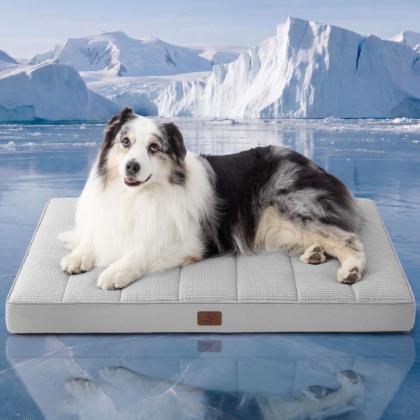 Cama para perros jaula plana extra grande con funda lavable