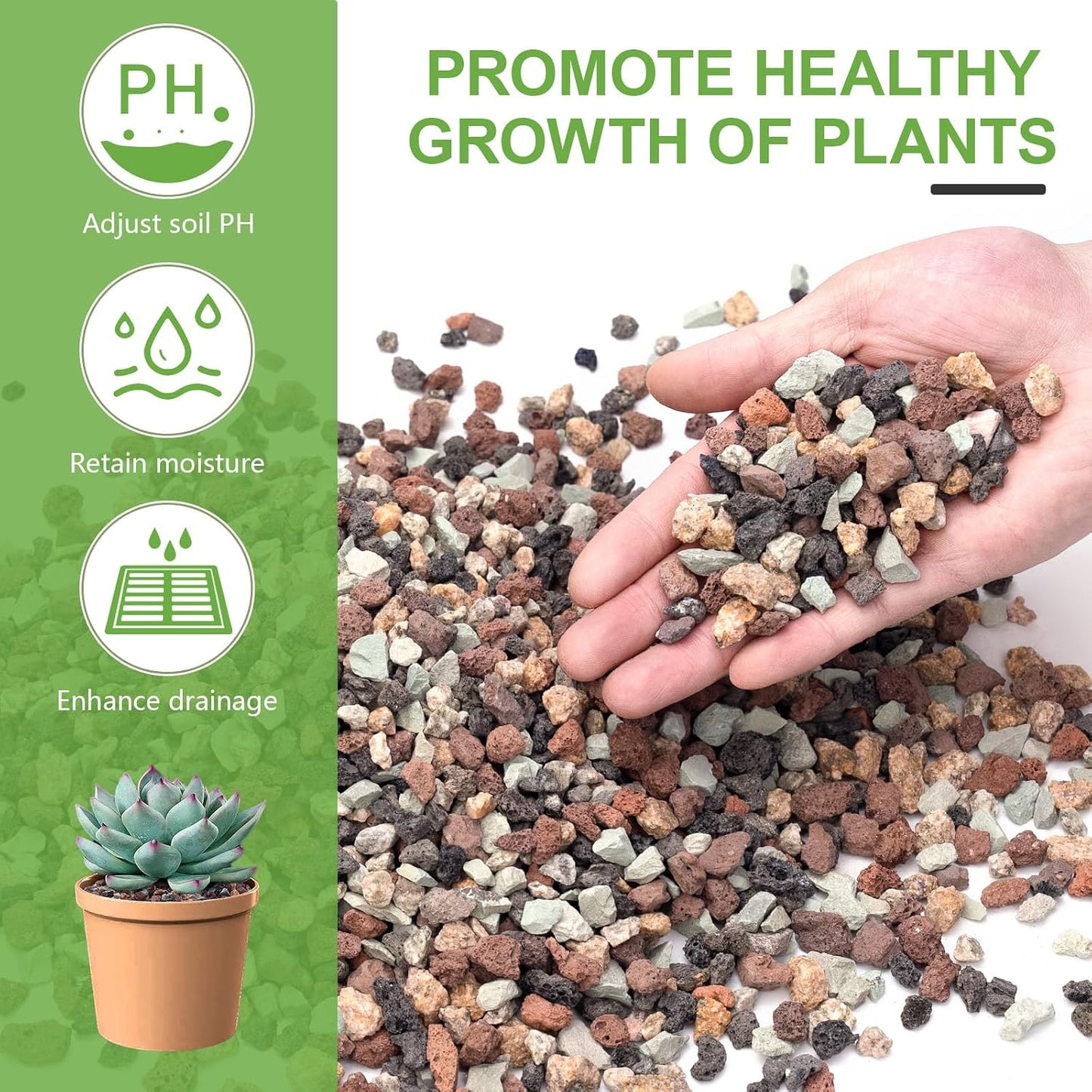 Rocas lava hortícola 5lb para suculentas cactus drenaje