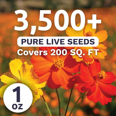 Paquete 1oz 3500 semillas flores silvestres mezcla