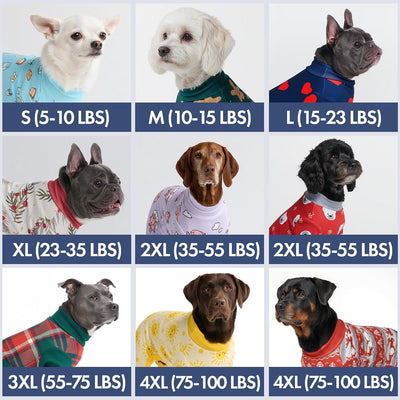 Pijama perro traje recuperación 3XL sueños mariposas