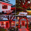 Guirnalda luces Navidad 250 LED alambre verde 91.5pies