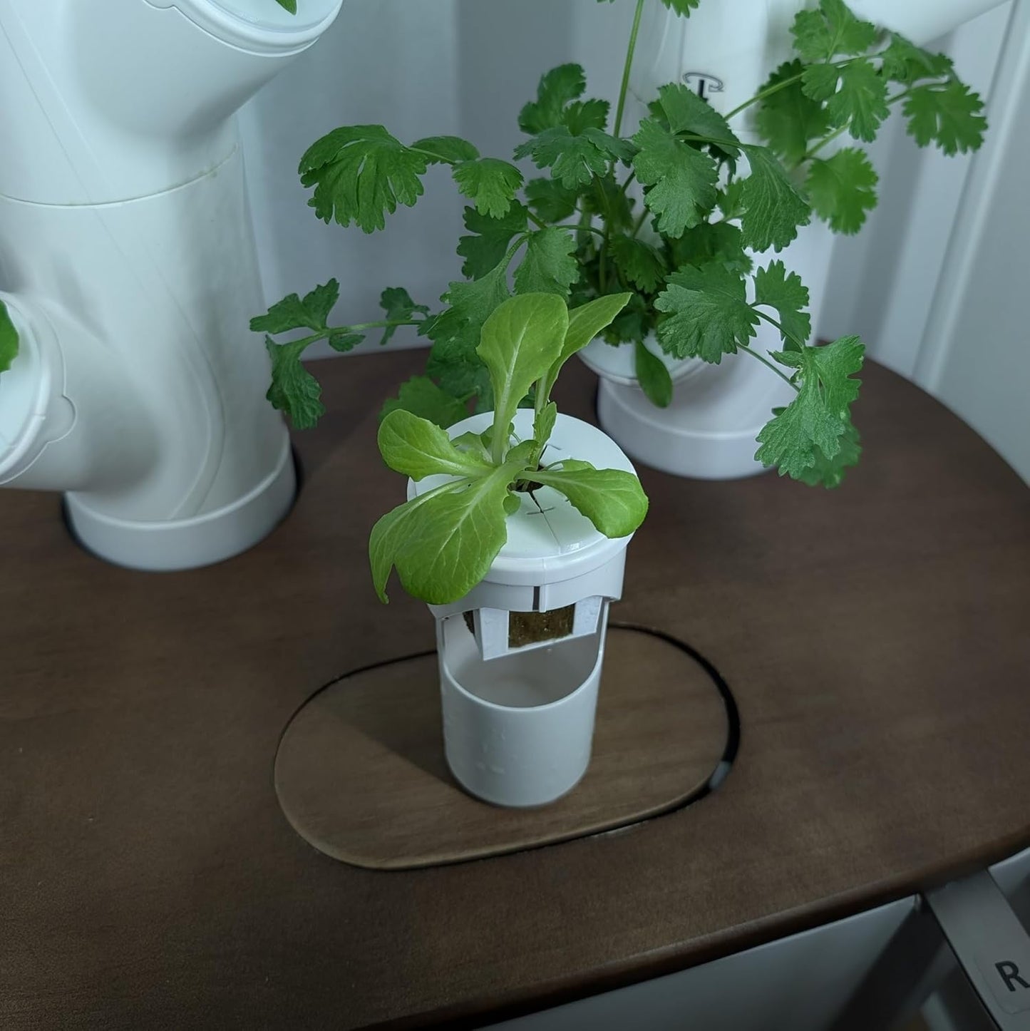 Cubos cultivo hidropónico comp Gardyn 10 pzas