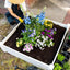 Cama jardín elevada 48x48pulg 13pulg exterior para flores y hierbas