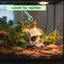 Decoración cráneo humano para acuario peces Betta