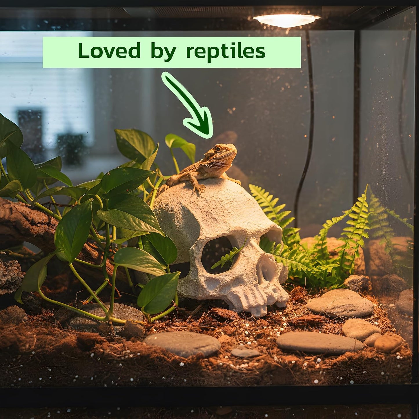 Decoración cráneo humano para acuario peces Betta