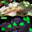 52 ranas resina luminosas para terrarios y decoración