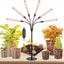 Luces cultivo mesa 6 cabezales 54W ajustable 16-24pulg