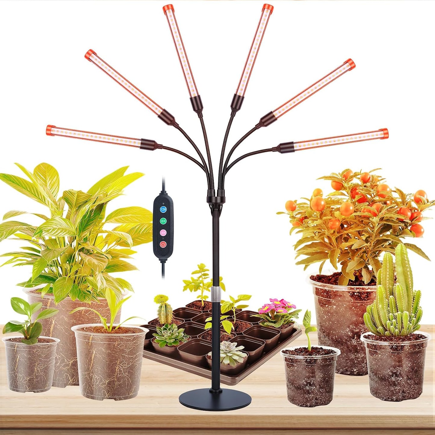 Luces cultivo mesa 6 cabezales 54W ajustable 16-24pulg