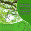 6 Ganchos S 12" para plantas al aire libre y patio