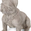 Estatua bulldog francés jardín color blanco y verde rústico