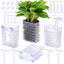 Soporte plantas acuario ajustable con ventosa y gancho 4 pzas