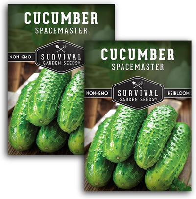 Semillas pepino Spacemaster compacto sin OMG 2 pack