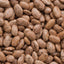 Semillas frijol pinto 1.06oz ~75 semillas alta germinación