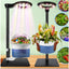Kit terrario Venus con luz y soporte metal plantas