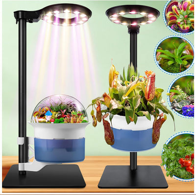 Kit terrario Venus con luz y soporte metal plantas