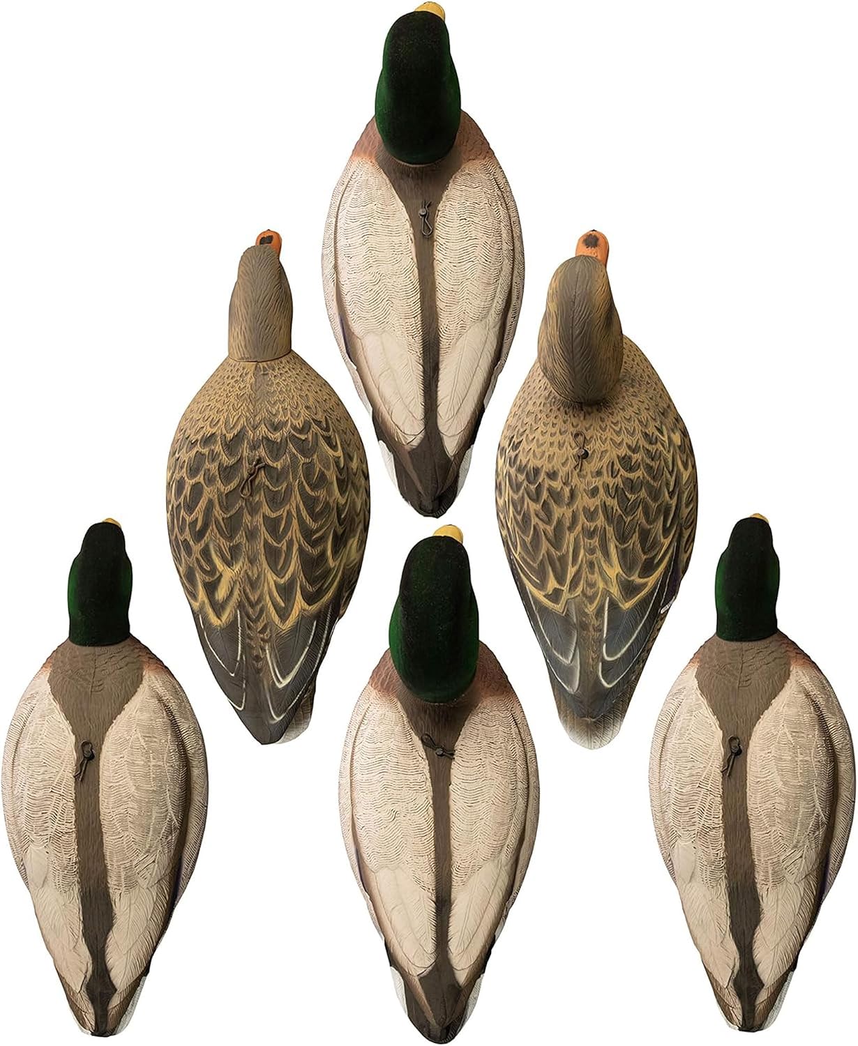 Mallard concha completa pack variado cabezas flocadas