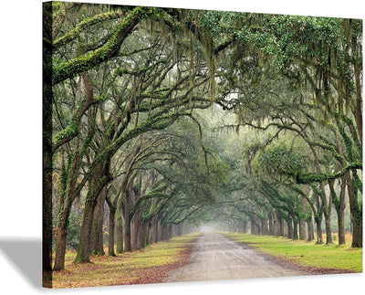 Pintura lienzo árbol roble paisaje verde tamaño pequeño