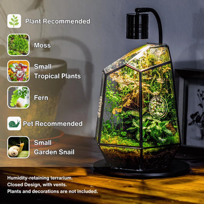 Caja cristal geométrica terrario 7.9x6.9x9.8pulg con ventilación