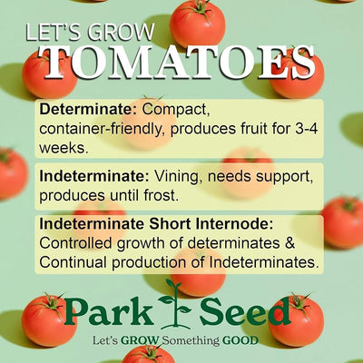 Semillas tomate cherry orgánicas sin OMG paquete 20