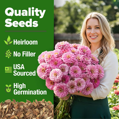 Semillas zinnia rosa 4500 luminosa anual floración rápida
