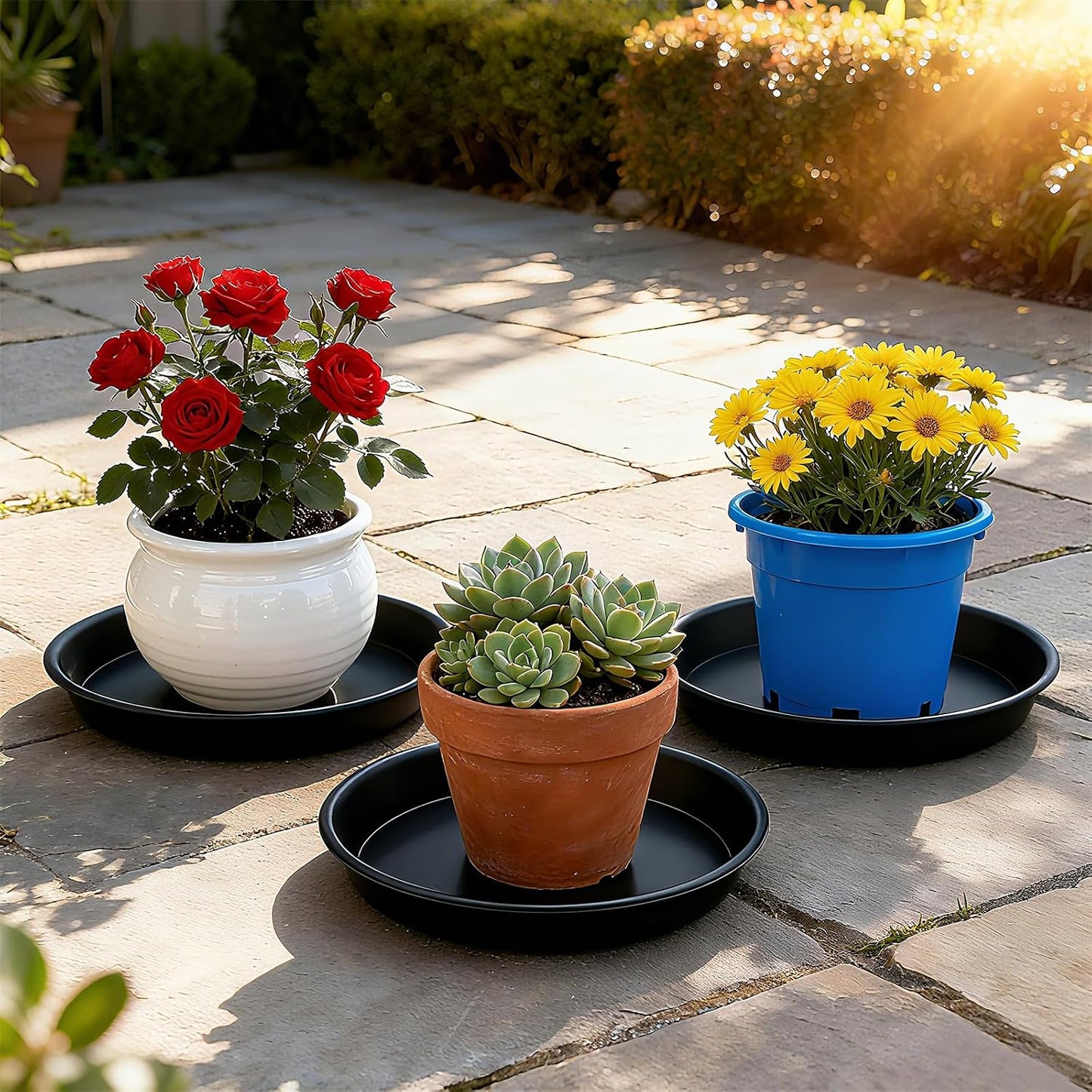 3 Pzas Platillos Plantas Resistentes 30cm Negro