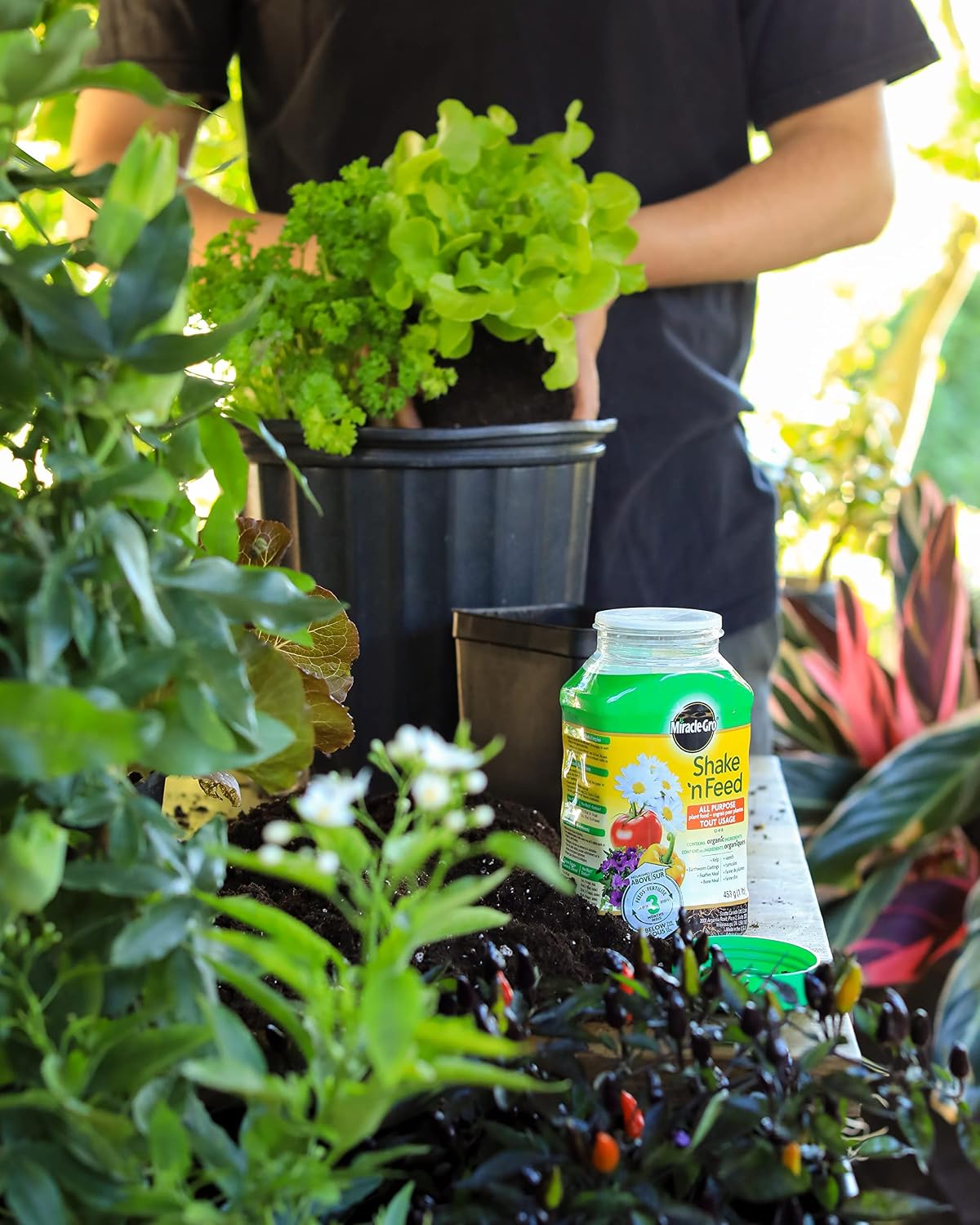 Fertilizante vegetal Shake n Feed 15.98oz