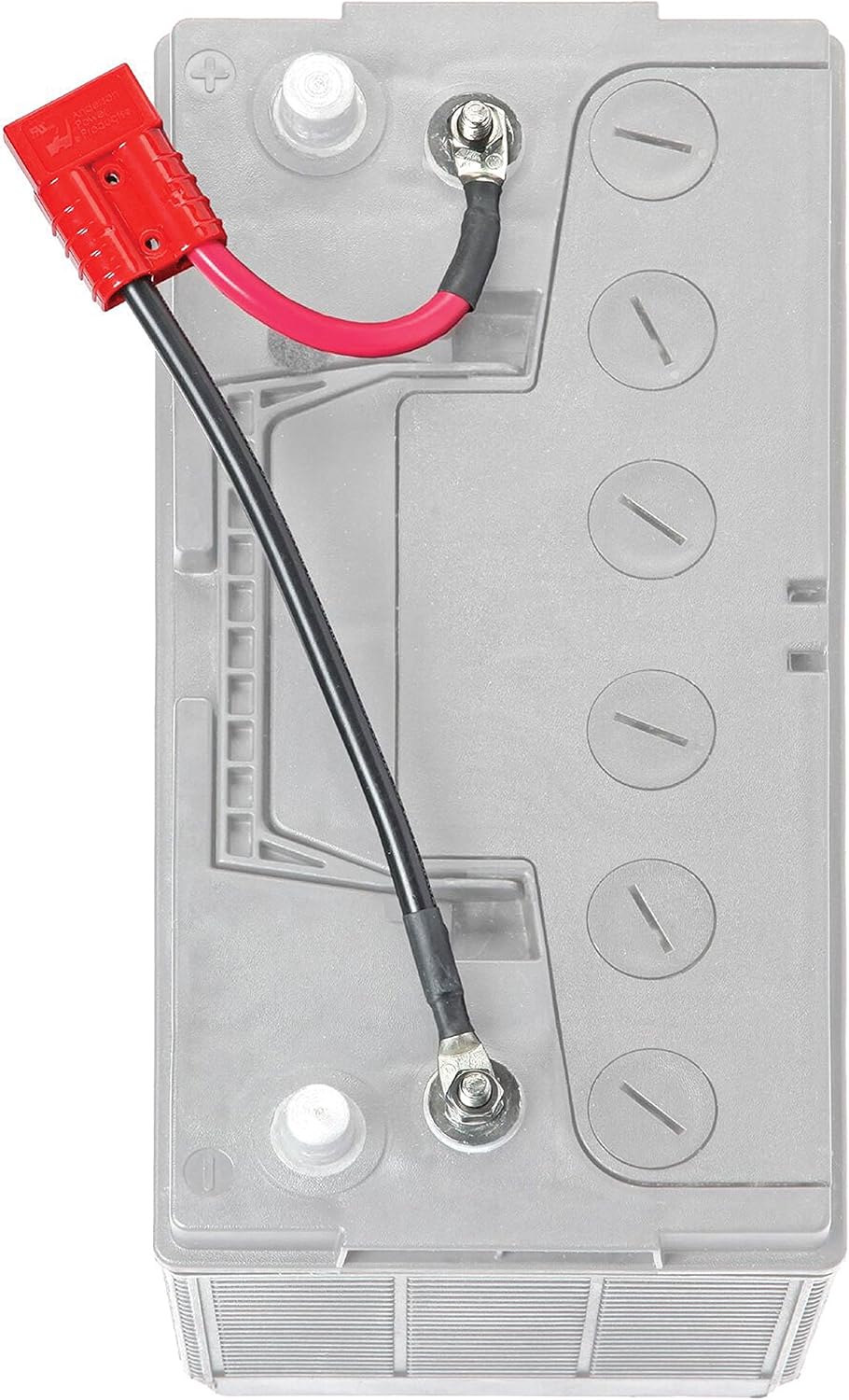 Conector batería 12V pack almejas