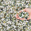 Piedras decorativas jade pulido 12lb para plantas