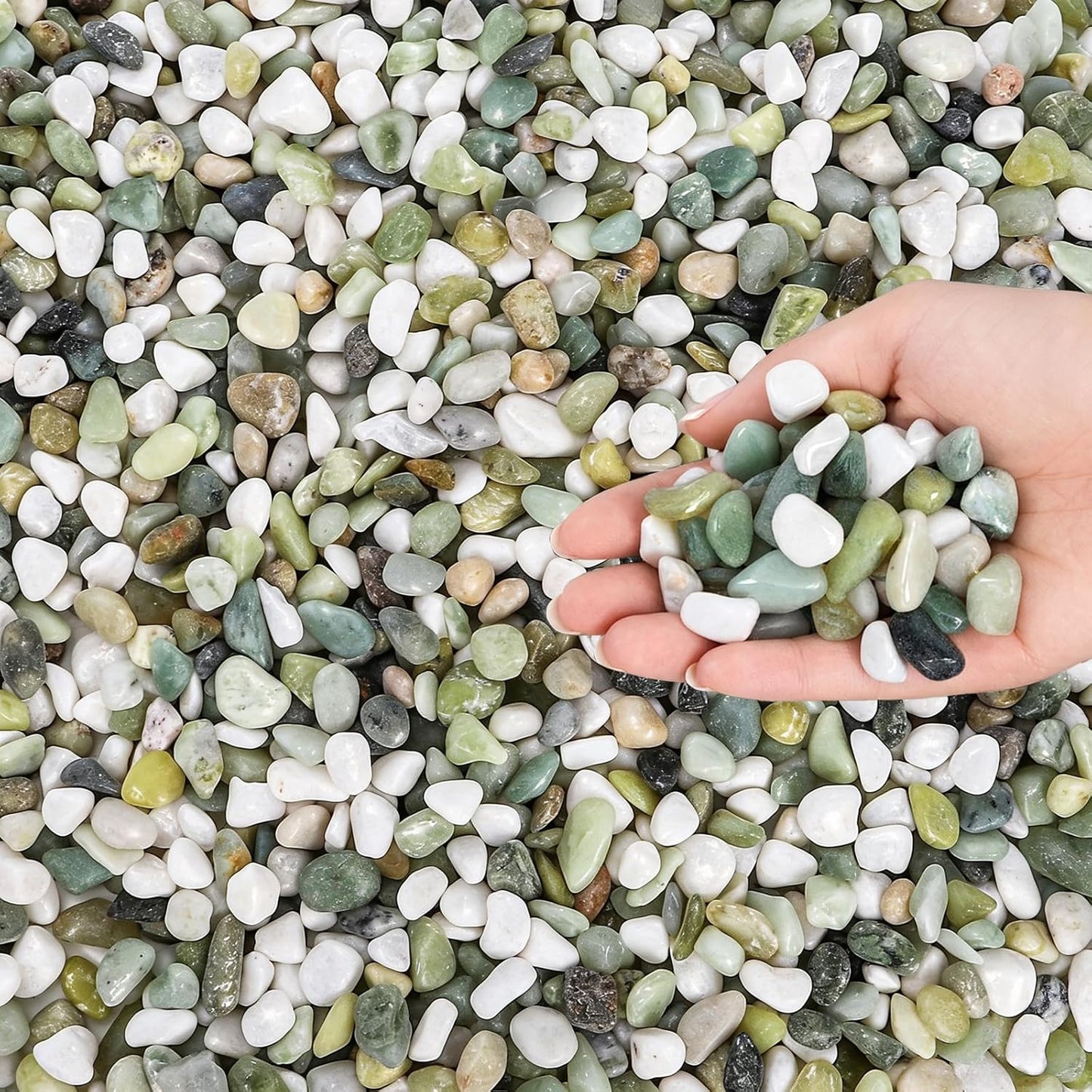 Piedras decorativas jade pulido 12lb para plantas