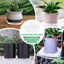 Set 6 platillos plástico transparente para plantas 6-22pulg