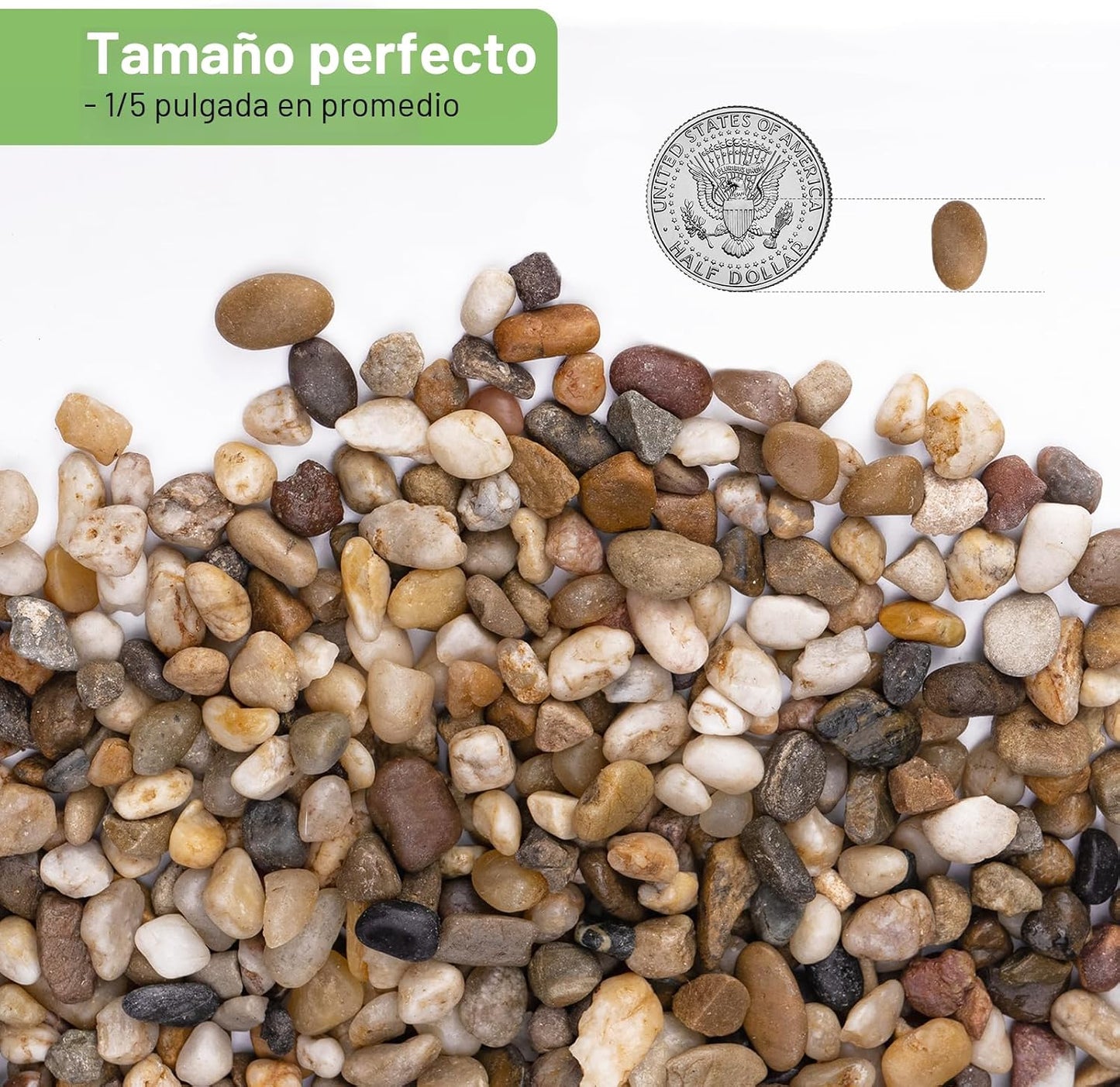 Rocas drenaje 2.5lb para maceta suculentas