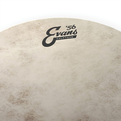 Parche Tom Calftone 18pulg TT18C7