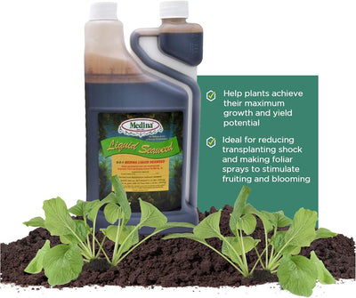 Fertilizante líquido de algas para plantas y césped 1qt