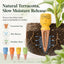 Picos riego automático terracota set 4 para plantas