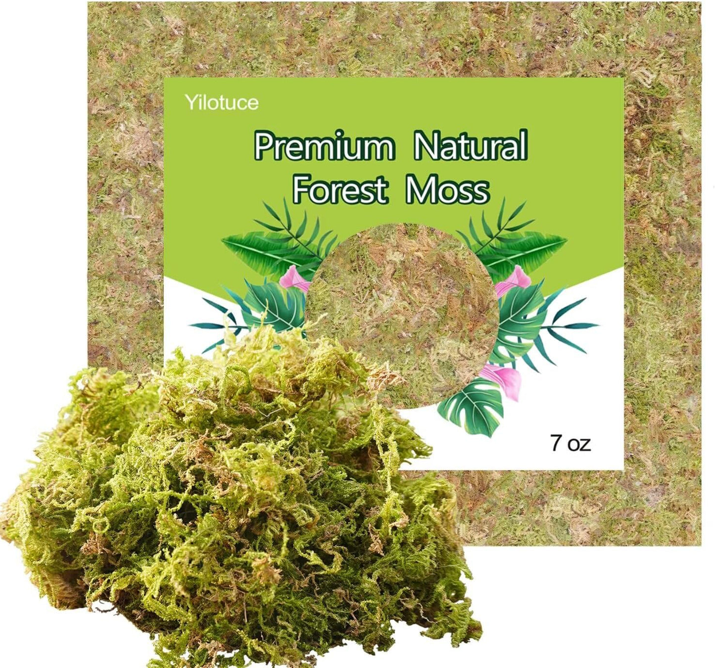 Musgo orquídea 7oz suelo para macetas terrario reptiles decoración