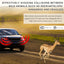 4 Silbato Ciervo Coche Adhesivo Universal
