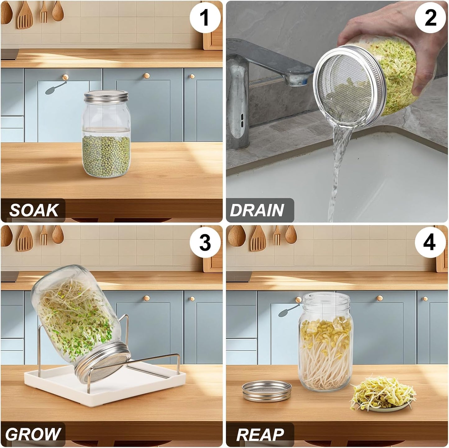 Kit germinación 2 tarros 1qt tapa malla acero inox