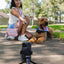 Kit paseo perro bolsa cruzada con bolsa golosinas y gancho excrementos