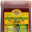 Photosynthesis Plus para cultivo de frutas verduras hierbas