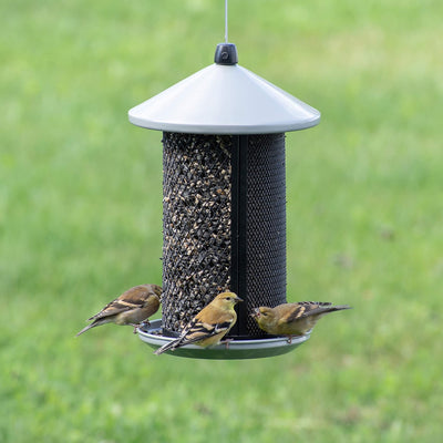 Alimentador aves doble malla 2.85lb semillas cardo