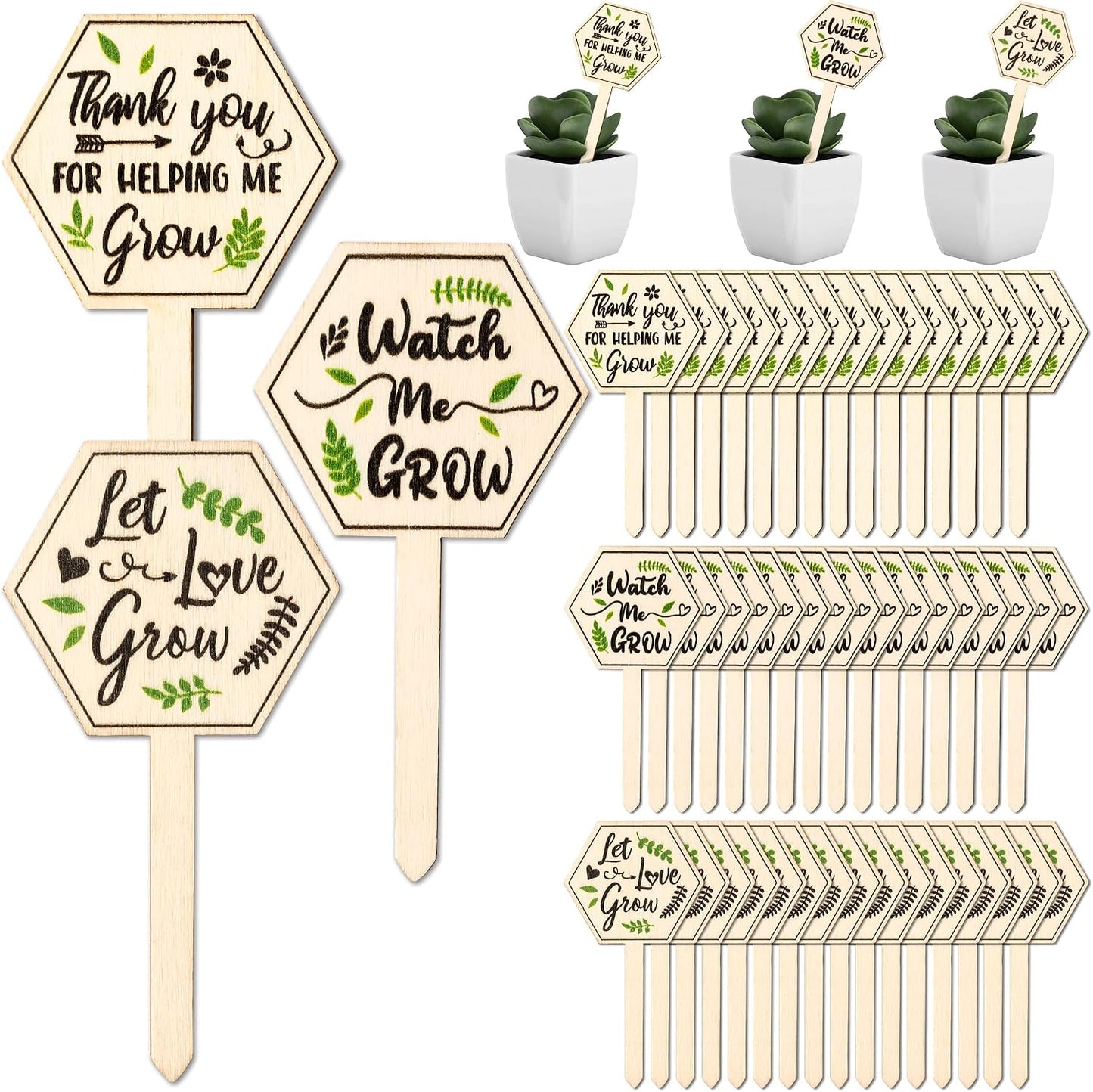 48 Etiquetas Madera Suculentas Letrero Watch Me Grow