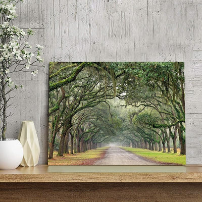 Pintura lienzo árbol roble paisaje verde tamaño pequeño