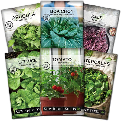 Semillas hidropónicas lechuga col rizada rúcula tomate cherry