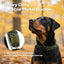 Collar perro mediano neopreno ajustable reflectante verde
