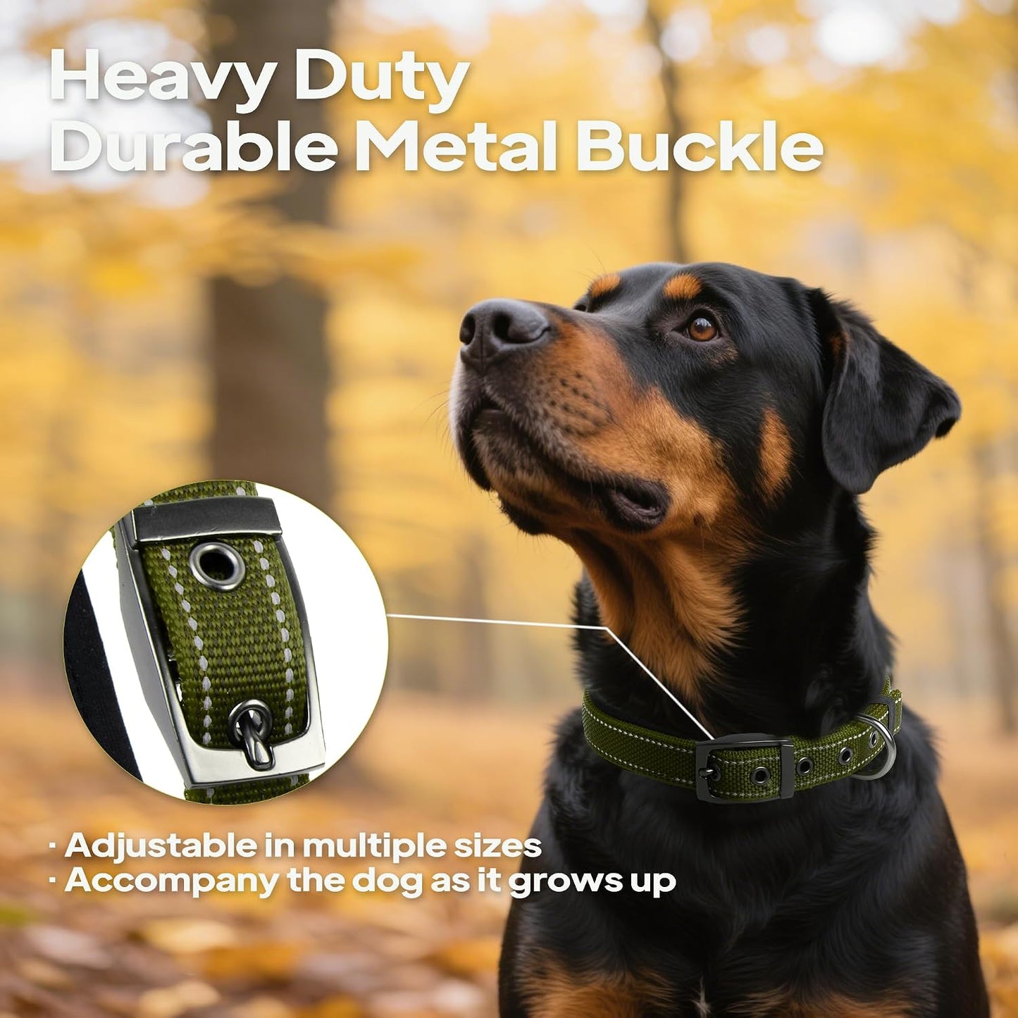 Collar perro mediano neopreno ajustable reflectante verde