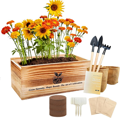 Kit cultivo flores alféizar con tierra coco y semillas